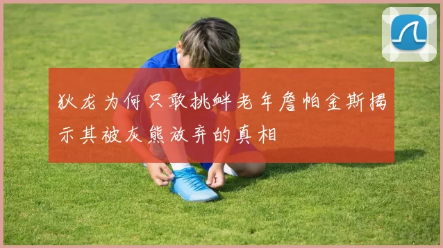 狄龙为何只敢挑衅老年詹帕金斯揭示其被灰熊放弃的真相