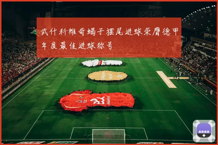 武什科维奇蝎子摆尾进球荣膺德甲年度最佳进球称号