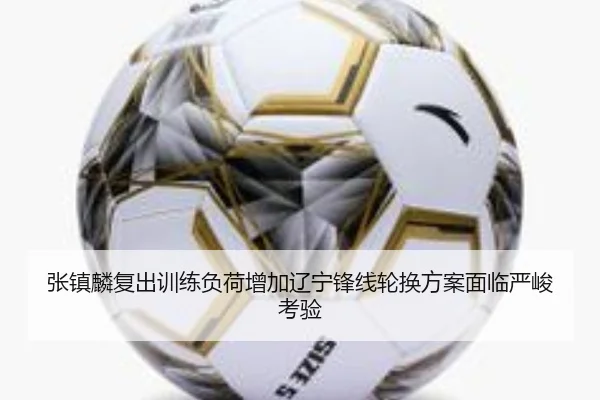 张镇麟复出训练负荷增加辽宁锋线轮换方案面临严峻考验（BBSports）